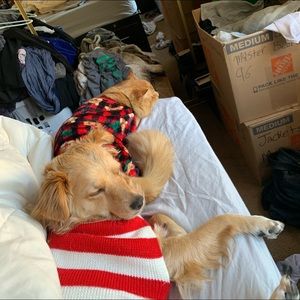 Meet your Posher, James